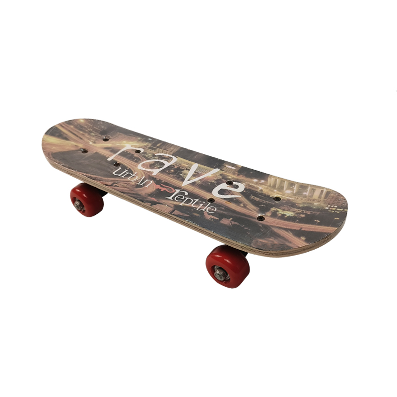 skateboard with Dog Bowl